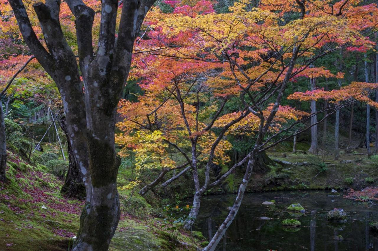 Hotel Arrows Arashiyama Kyoto Exteriör bild
